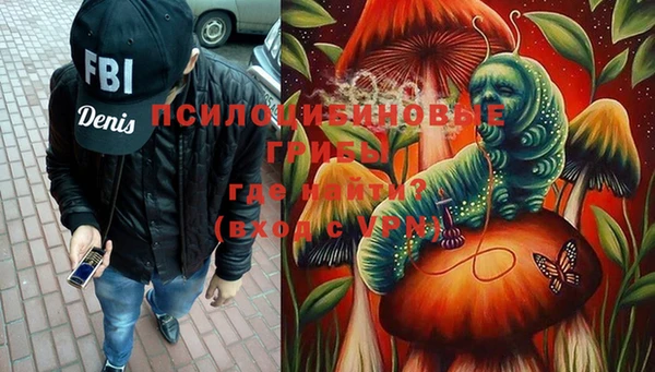 прущая мука Богородск