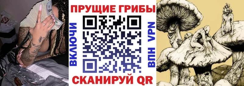 Псилоцибиновые грибы Cubensis Иркутск